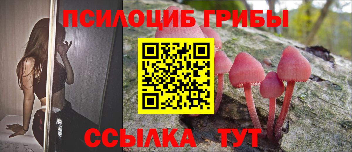 Галлюциногенные грибы MAGIC MUSHROOMS Омск