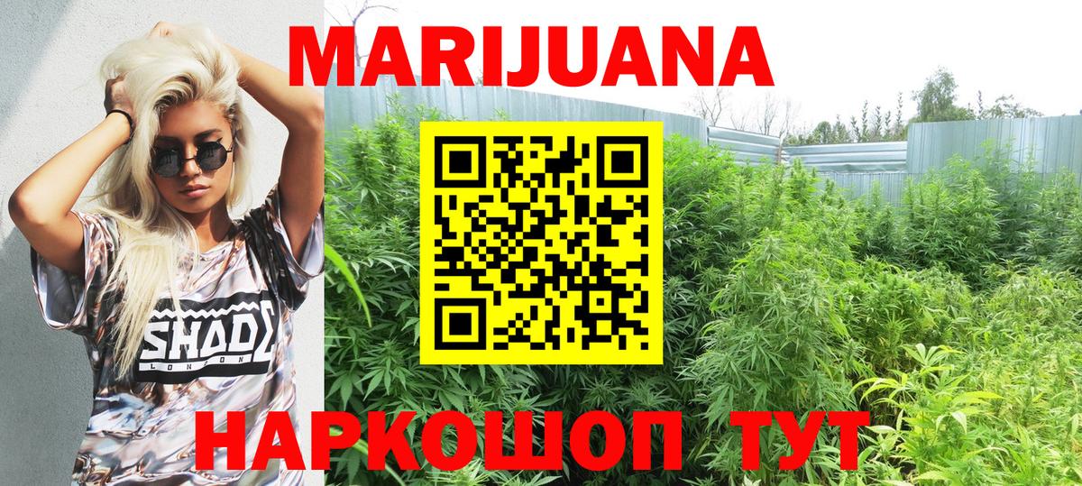 Канабис сатива  МАРИХУАНА план  Каннабис SATIVA & INDICA  Омск  Вход с VPN  Канабис SATIVA & INDICA 